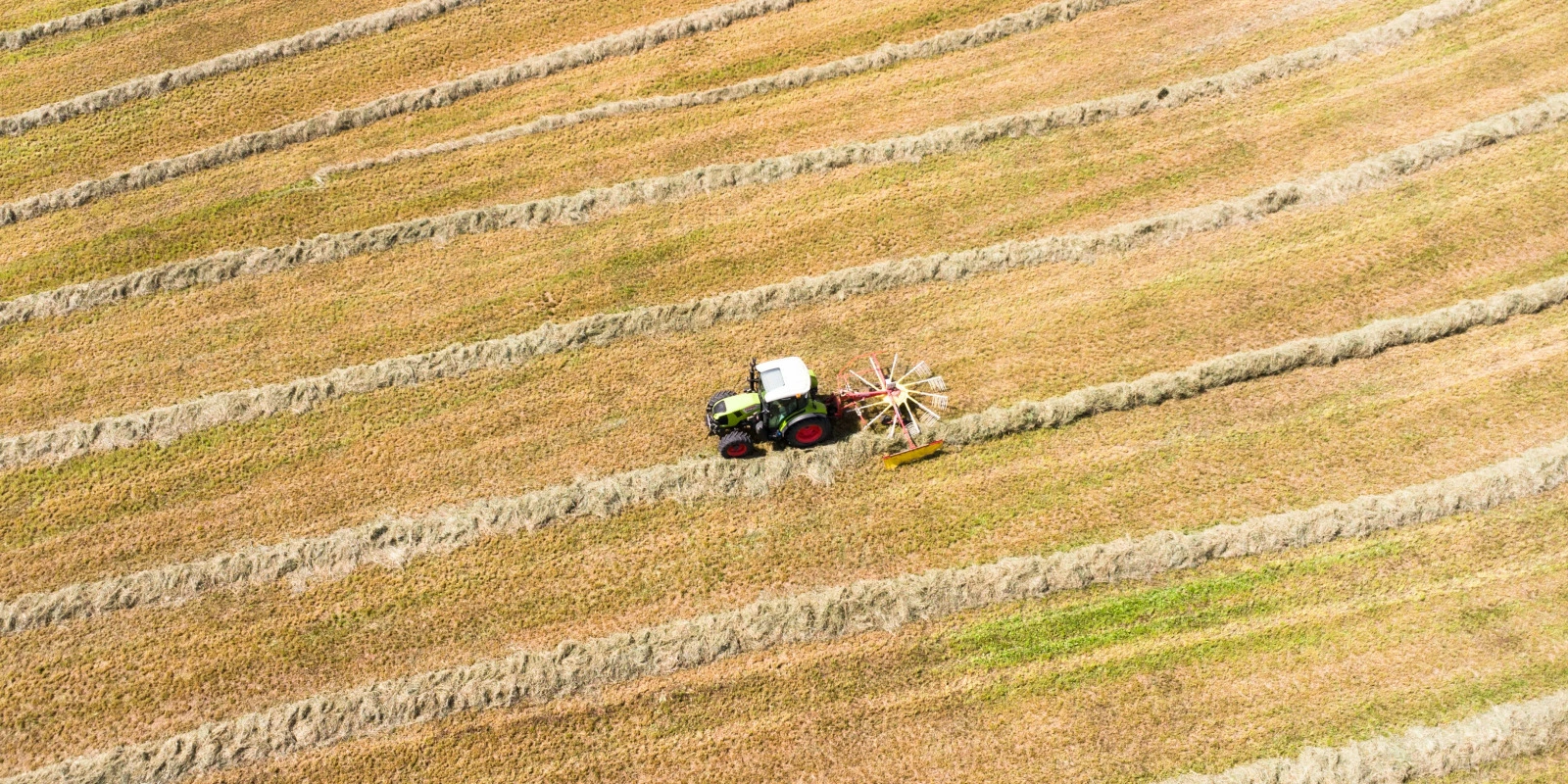 BTSA TC : Le Référentiel de Formation