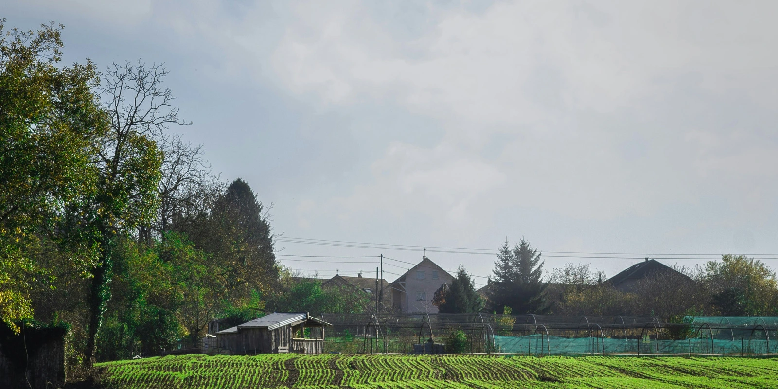 L'Alternance en BTSA TC : Témoignages et Expériences