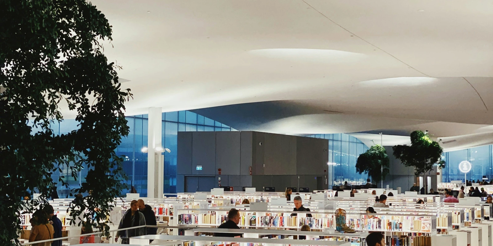 Les Examens du BTSA TC : Préparation et Révisions